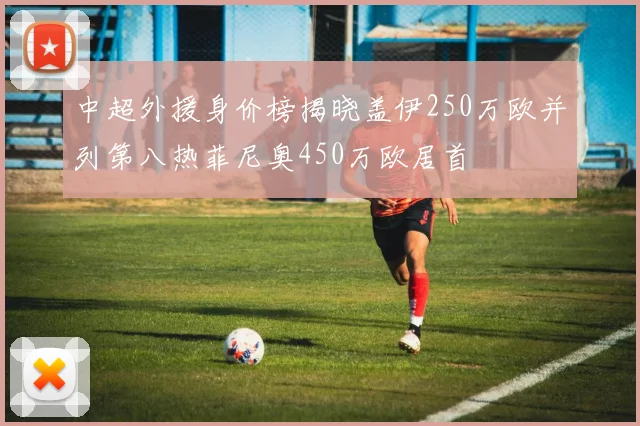 中超外援身价榜揭晓盖伊250万欧并列第八热菲尼奥450万欧居首
