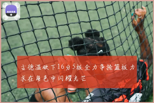 古德温砍下16分5板全力争抢篮板力求在角色中闪耀光芒